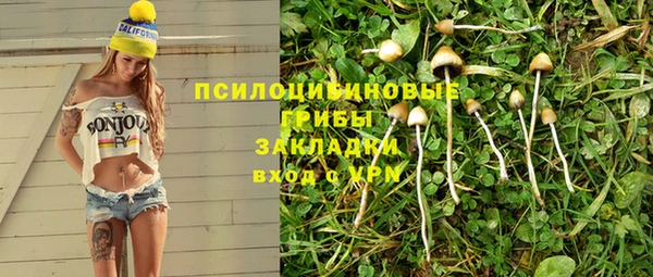 крисы Елизово