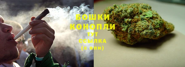 амф Елабуга
