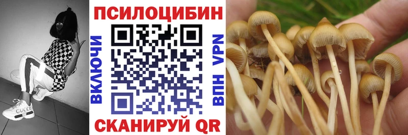 Галлюциногенные грибы Psilocybe  Купить где  Бронницы 